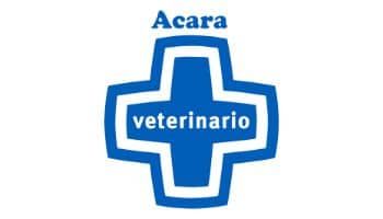 escuela-musica-las-palmas-logo-acara